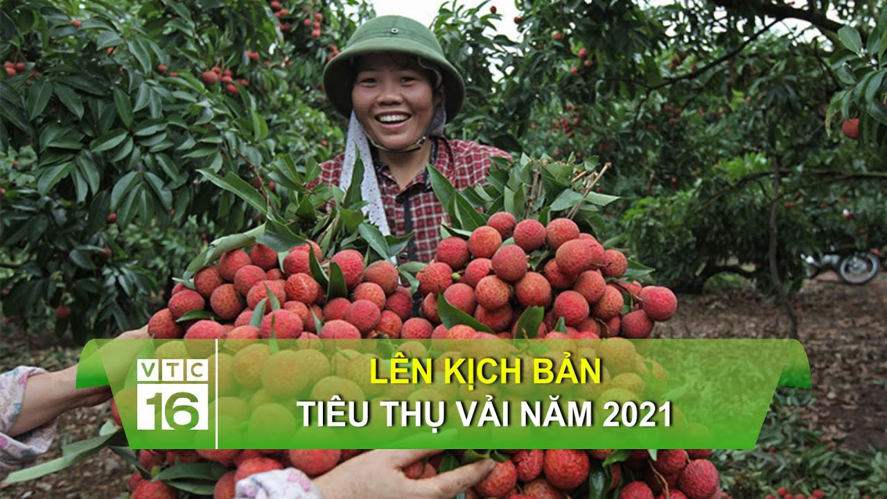 Cách Khởi Nghiệp Kiếm Tiền Bán Thời Gian Dành Cho Người Mới_Khóa học edit video cho người mới bắt đầu